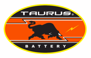 Logo 3